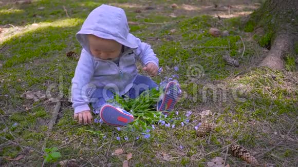 宝贝正拿着一束蓝色的花坐在森林里视频的预览图
