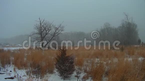 冬天公园的景色视频的预览图