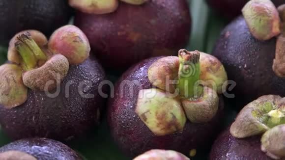 一组新鲜的奇异热带泰国水果芒果在香蕉叶上旋转视频的预览图