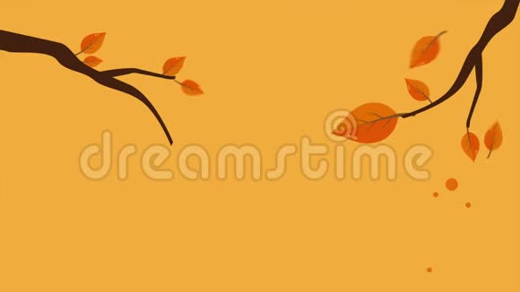 秋日用树枝拍摄视频的预览图