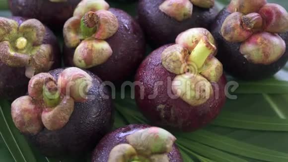 一组新鲜的奇异热带泰国水果芒果在香蕉叶上旋转视频的预览图