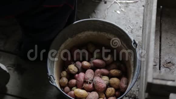 爷爷吃土豆老人做土豆村里的高清视频的预览图