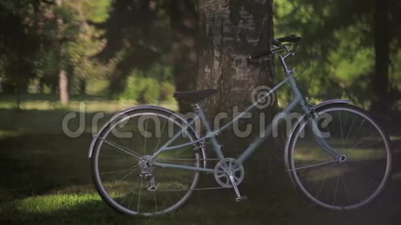 夏天阳光明媚的晚上蓝色自行车停留在公园的树上盘横着视频的预览图