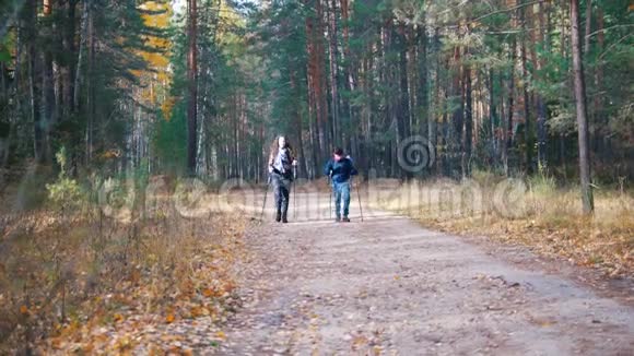 一个年轻的女人和一个男孩在斯堪的纳维亚漫步在森林里视频的预览图