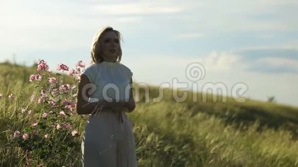 肖像快乐的年轻女子在一个夏天散步在田野近距离年轻漂亮的女人在夏天的田野里散步微笑视频的预览图