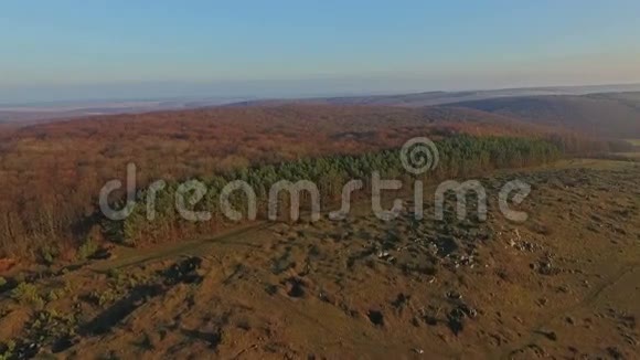 鸟瞰森林喀尔巴阡山乌克兰视频的预览图