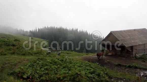 马站在雾中一个旧农场的木屋附近视频的预览图