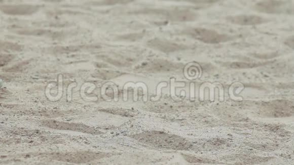 女孩的腿她穿着黑色的鞋子走在沙滩上近距离射击视频的预览图