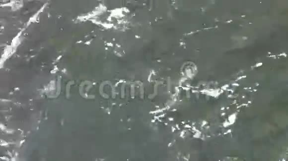 加拿大北部瀑布底部的湍流水视频的预览图