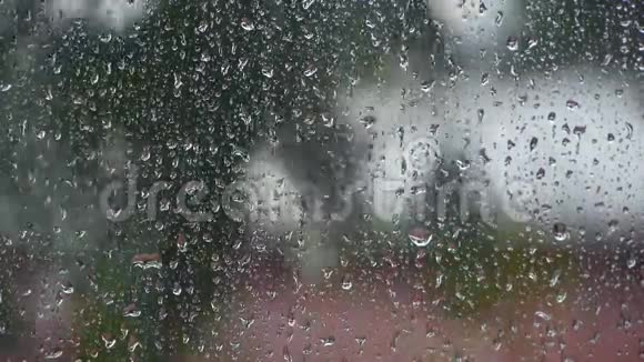 白天窗户上的雨滴视频的预览图