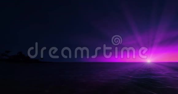 紫色的夜景右侧阳光灿烂环绕着热带棕榈滩视频的预览图