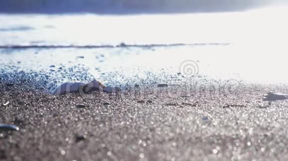 一个人的头骨在海滩上在海浪下4k慢动作视频的预览图