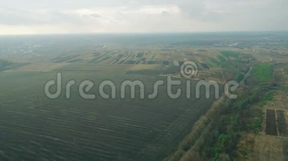 美丽麦田的空中景色视频的预览图