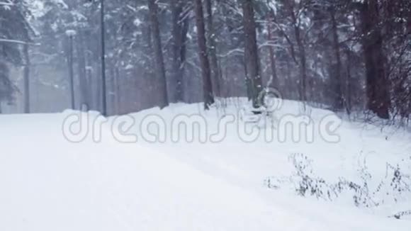在白雪覆盖的冬天森林道路上奔跑的人视频的预览图