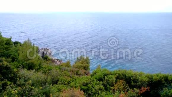 希腊哈尔基迪基阿吉亚帕拉斯凯维地区的海水和树木海岸视频的预览图