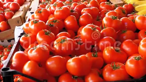 街市集配番茄展示视频的预览图