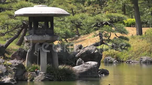 日本东京清源公园花园视频的预览图