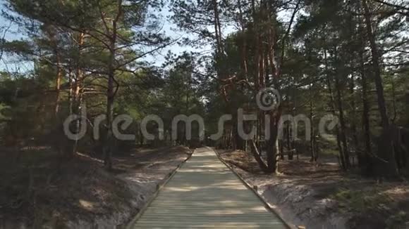 从波罗的海海湾的海滩用白沙通往沙丘森林和松树的新木路视频的预览图