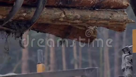 一种专门的挖树皮机的机械臂将树皮从森林中刚砍下的树干上剥下来视频的预览图
