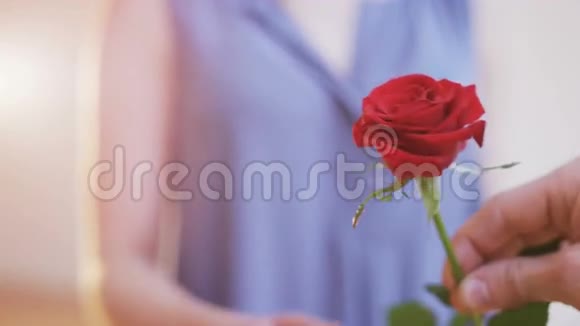 男人把红玫瑰送给女人视频的预览图