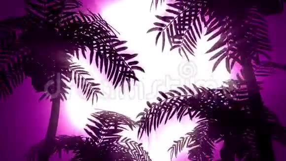 复古的未来主义背景与棕榈树的背景太阳装载视频的预览图