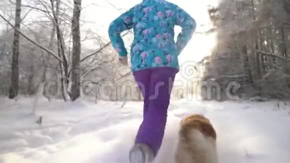 壮观的慢动作接近女人和狗跑基本上是腿金毛猎犬视频的预览图