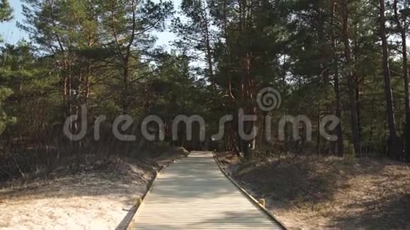 从波罗的海海湾的海滩用白沙通往沙丘森林和松树的新木路视频的预览图
