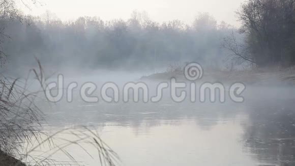 清晨在北欧春天的雾水上视频的预览图