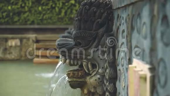 神圣的温泉帕纳斯班贾尔龙的头靠近视频的预览图