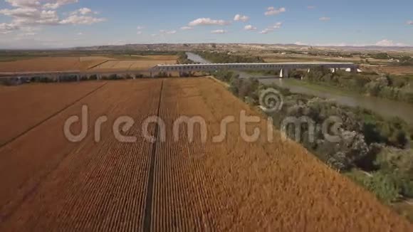 快速列车进入耕地玉米地附近的桥梁视频的预览图