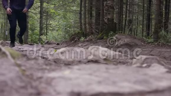 年轻的健康人在树林里奔跑在树林里跑步的年轻运动员视频的预览图
