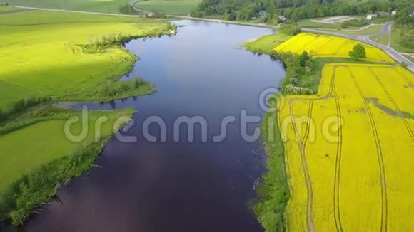 油菜田黄绿湖鸟瞰乡村无人机顶景黄绿拉脱维亚视频的预览图