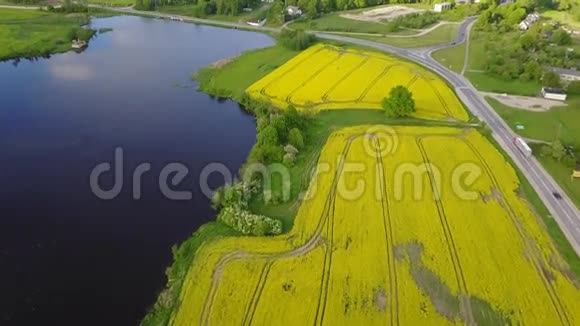 油菜田黄绿湖鸟瞰乡村无人机顶景黄绿拉脱维亚视频的预览图