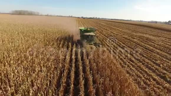 4k无人驾驶飞机大规模农业联合机器卡车车辆收割农作物有机小麦农田视频的预览图