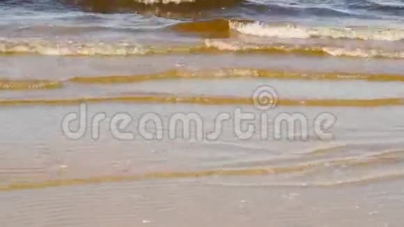 在沙质海岸的芬兰海湾流入视频的预览图