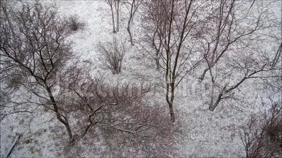 俄罗斯加奇纳2015年11月29日第一场雪视频的预览图