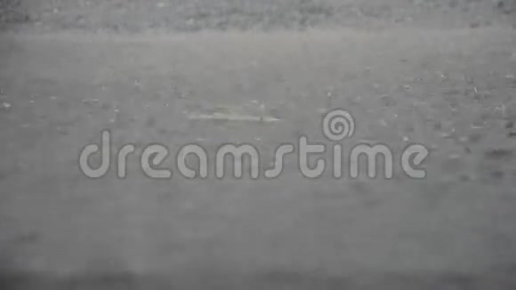 雷雨和雨落在地上视频的预览图