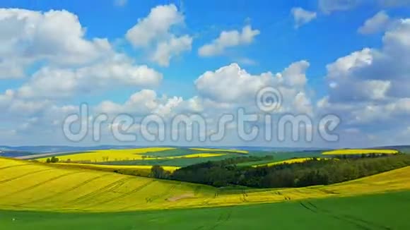 捷克共和国南摩拉维亚盛开的田野全景视频的预览图