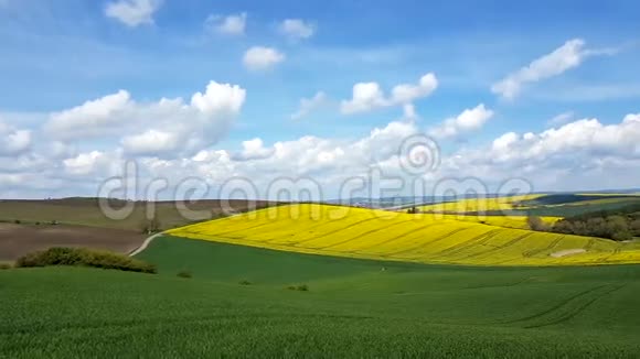 捷克共和国南摩拉维亚盛开的田野全景视频的预览图