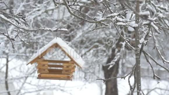 鸟儿飞到喂食器前拿起粮食飞走了雪落在树上雪花飘落在鸟舍里视频的预览图