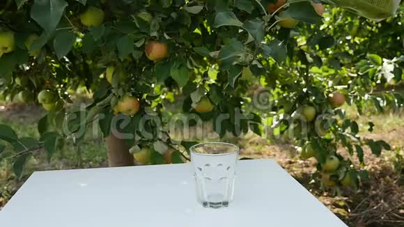 苹果汁种植苹果的背景视频的预览图