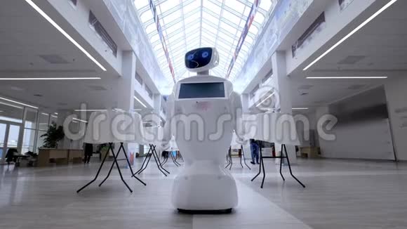 现代机器人技术机器人看着镜头对准人机器人的肖像转动他的头白色视频的预览图