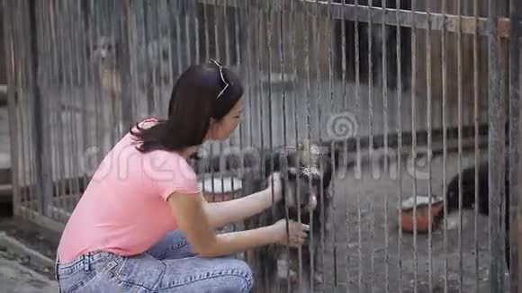 女孩在托儿所做狗的志愿者流浪狗收容所视频的预览图