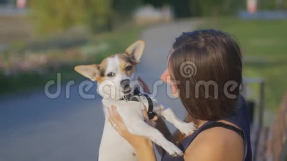 那个漂亮的小女孩和狗坐在公园的长凳上视频的预览图