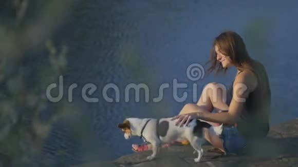 那个漂亮的小女孩和狗坐在公园的长凳上视频的预览图