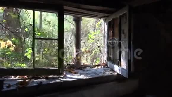 森林中废弃房屋的窗户视频的预览图