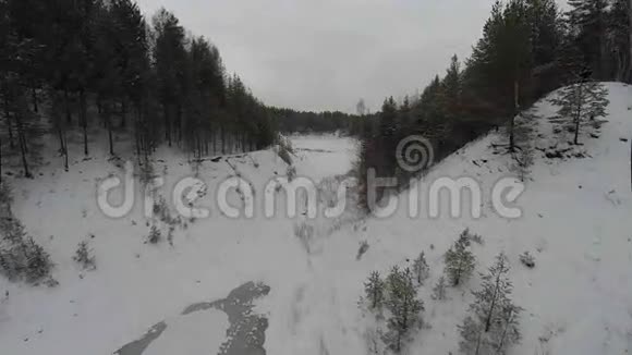 空中冬季仙境黑林视频的预览图