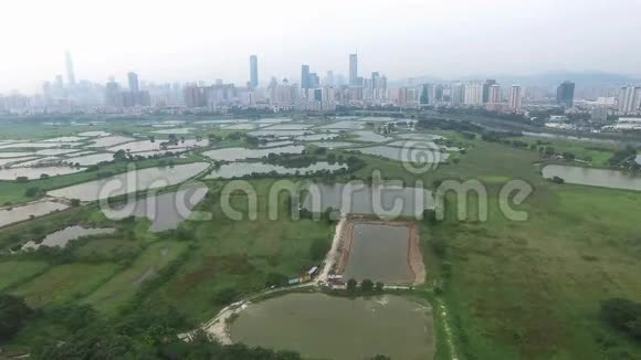 中国深圳旁边的丝光香港鱼池的天际线鸟瞰图视频的预览图