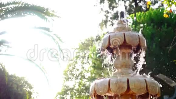 绿色自然中的喷泉和阳光视频的预览图