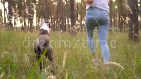 日落时分女孩在森林里和她的狗玩慢动作视频的预览图